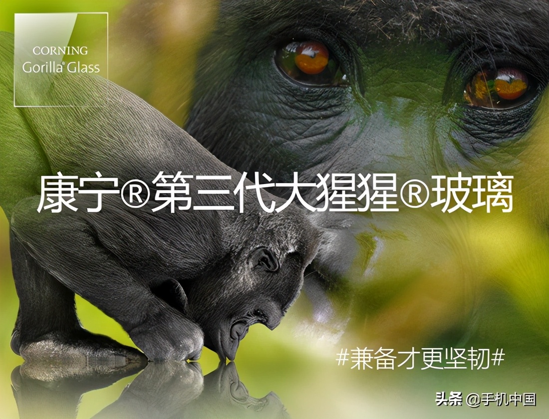 2020年手机中国年终盘点：这些手机坚固又耐用 第35张