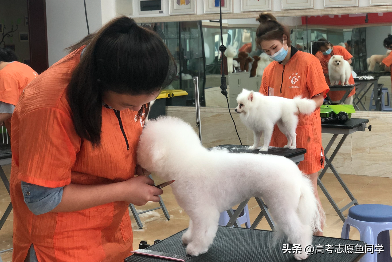 想学一门技术不知道学什么好（发展前景不错的8门手艺） 第3张