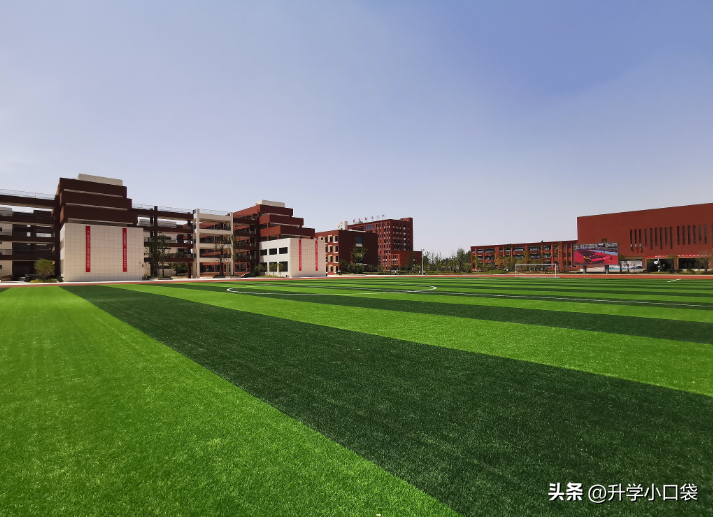 安徽大学是211吗（2023安大保研率数据出炉） 第3张