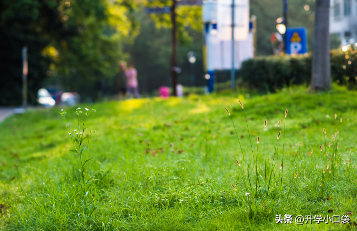 安徽大学是211吗（2023安大保研率数据出炉） 第9张