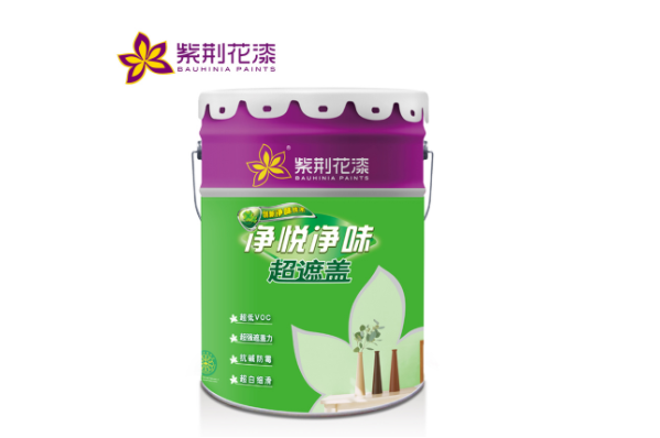 家装墙面漆十大品牌,墙面漆10大品牌排行榜 第9张