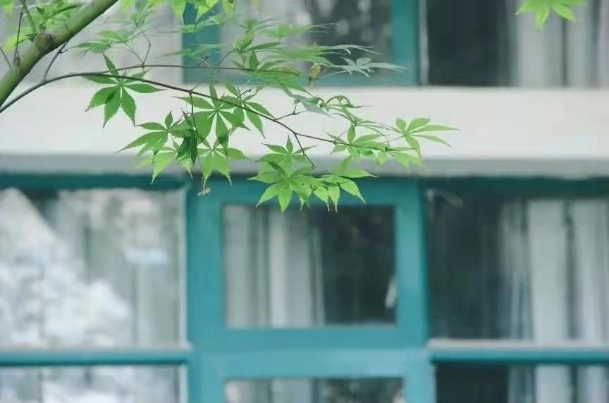 武汉轻工大学是几本（武汉轻工大学怎么样） 第7张