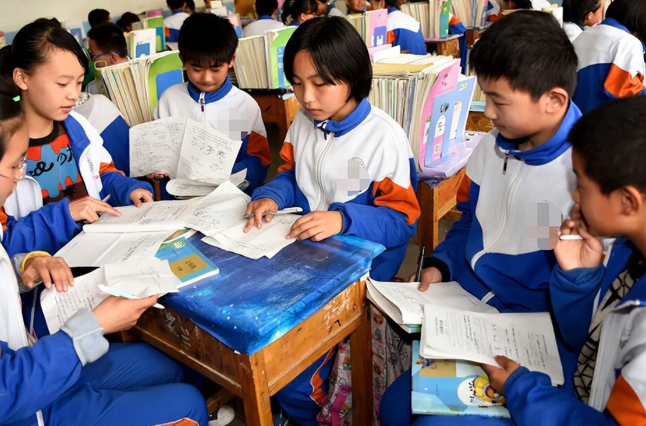 私立学校和公立学校哪个好（公办和私立的差距大吗） 第7张