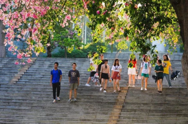 华南农业大学是985还是211（华农是双一流吗） 第5张