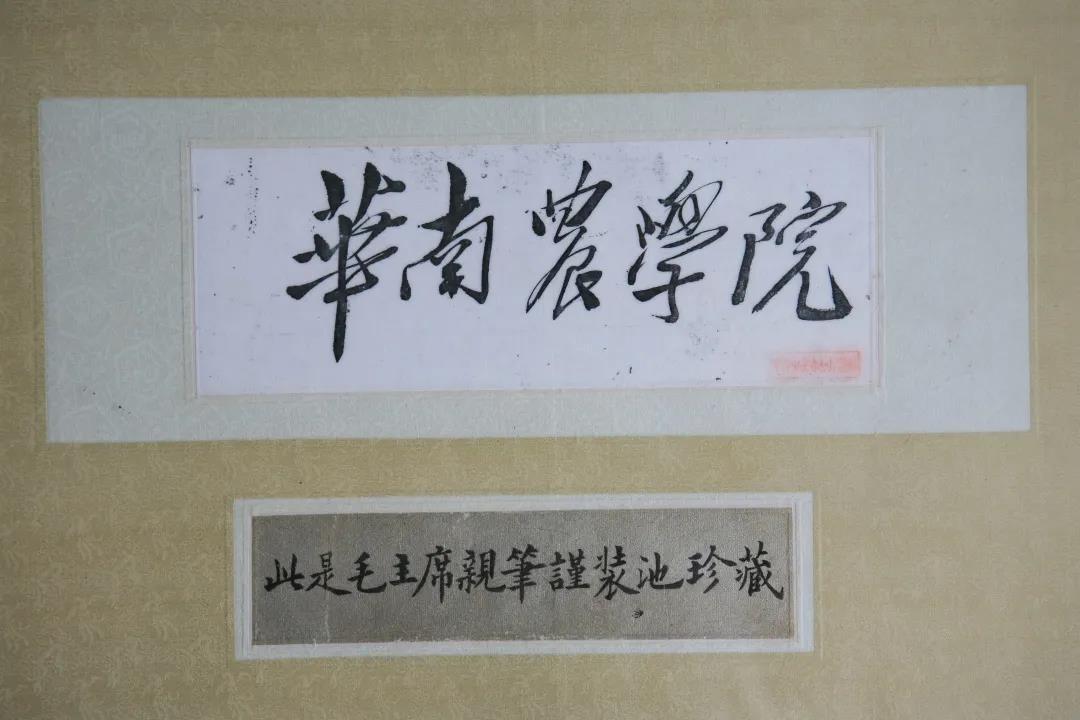 华南农业大学是985还是211（华农是双一流吗） 第7张