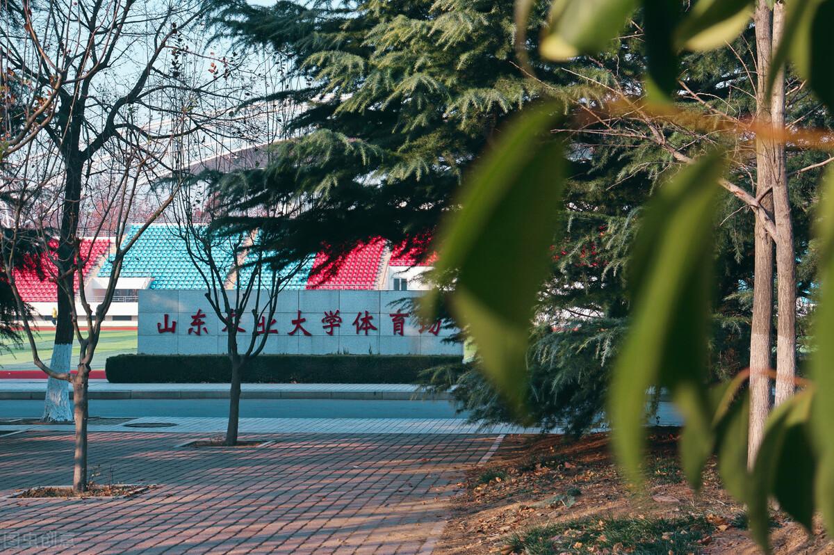 山东农业大学是一本还是二本（山农属于什么档次） 第3张