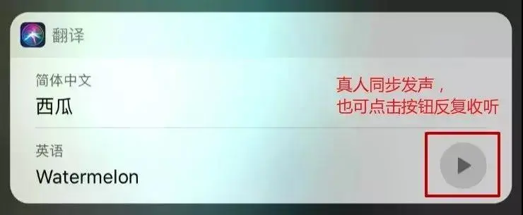 在iPhone 上翻译语音和文本（苹果手机自带翻译功能的使用） 第15张