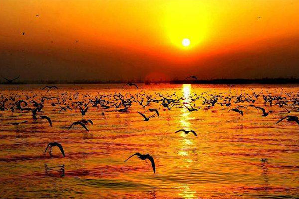 宁夏旅游必去十大景点 宁夏值得去的景点排名前十 第3张