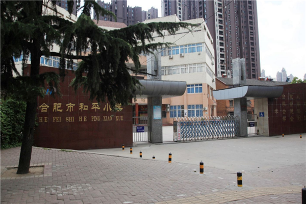 合肥市十大公立小学排行榜 合肥有哪些重点公立小学 第7张
