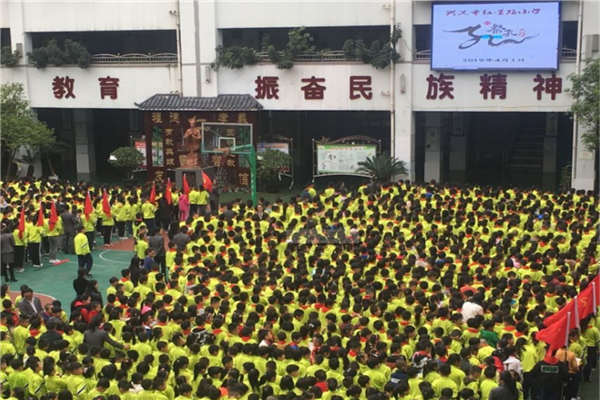 合肥市十大公立小学排行榜 合肥有哪些重点公立小学 第17张