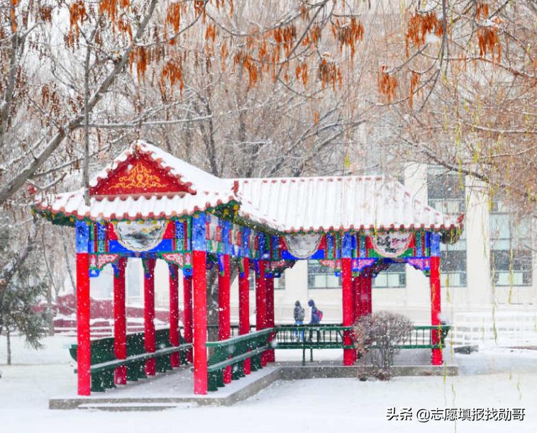石河子大学怎么样（为了211选石河子大学值吗） 第19张