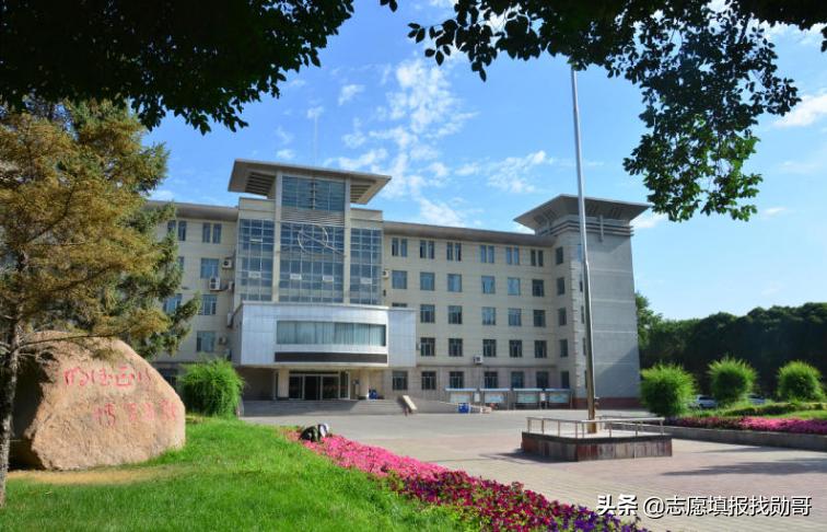石河子大学怎么样（为了211选石河子大学值吗） 第27张
