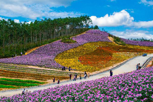 漳州旅游十大景点 漳州值得去的景点排名前十 第11张