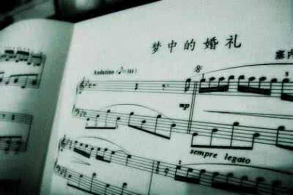 世界十大震撼人心的纯音乐,听了令人感觉震撼的纯音乐 第15张