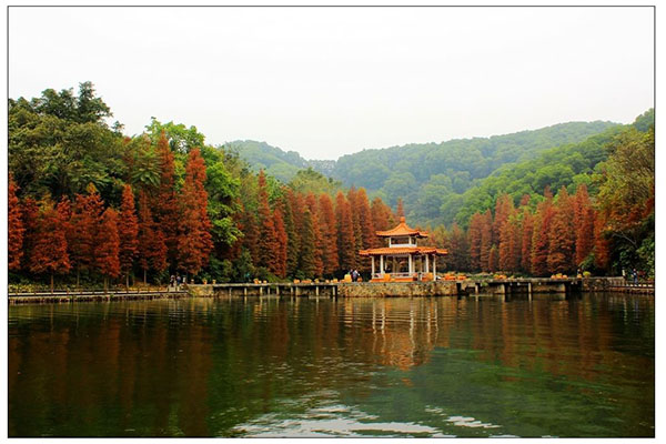 深圳旅游必去十大景点 深圳好玩的景点排名前十 第19张