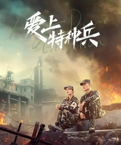 特种兵电视剧有哪些 十大好看的中国特种部队电视剧推荐 第9张