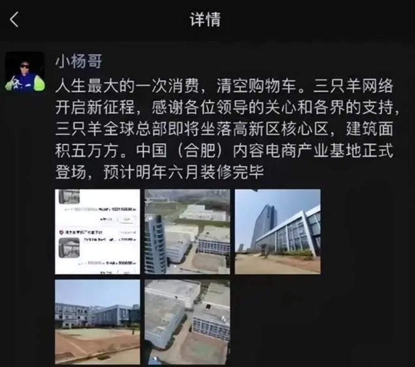 李子柒事件是怎么回事（盘点李子柒停更风波及后续） 第17张