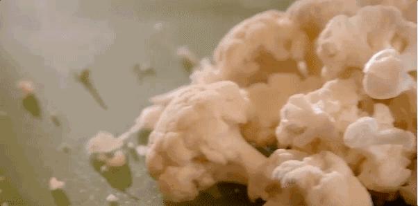 6种高膳食纤维蔬菜，夏天减肥吃，饱腹又通便 第11张
