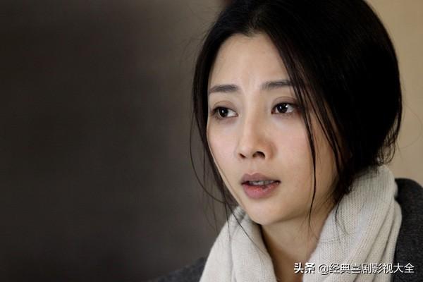 殷桃主演过的电视剧有哪些（“殷桃”10部高分好剧推荐） 第7张