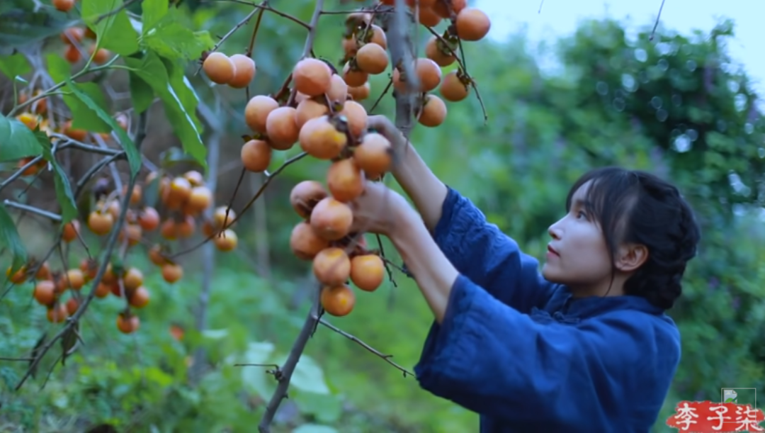 李子柒事件是怎么回事（盘点李子柒停更风波及后续） 第27张