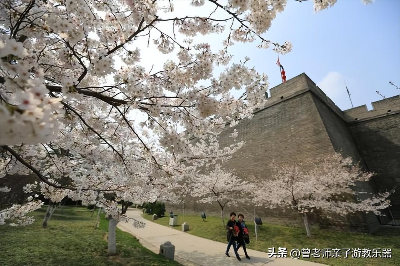 西安旅游必去景点推荐（附：西安旅游首选10大景区） 第47张