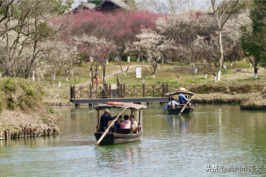 西溪湿地好玩吗（附：西溪湿地游玩攻略） 第3张