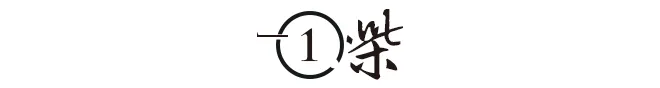 柴静事件是什么（起底柴静赴美产子始末与现状） 第3张
