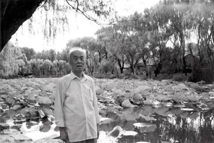 北京大学唯一的终身教授是谁（北大终身教授“季羡林”简介） 第1张