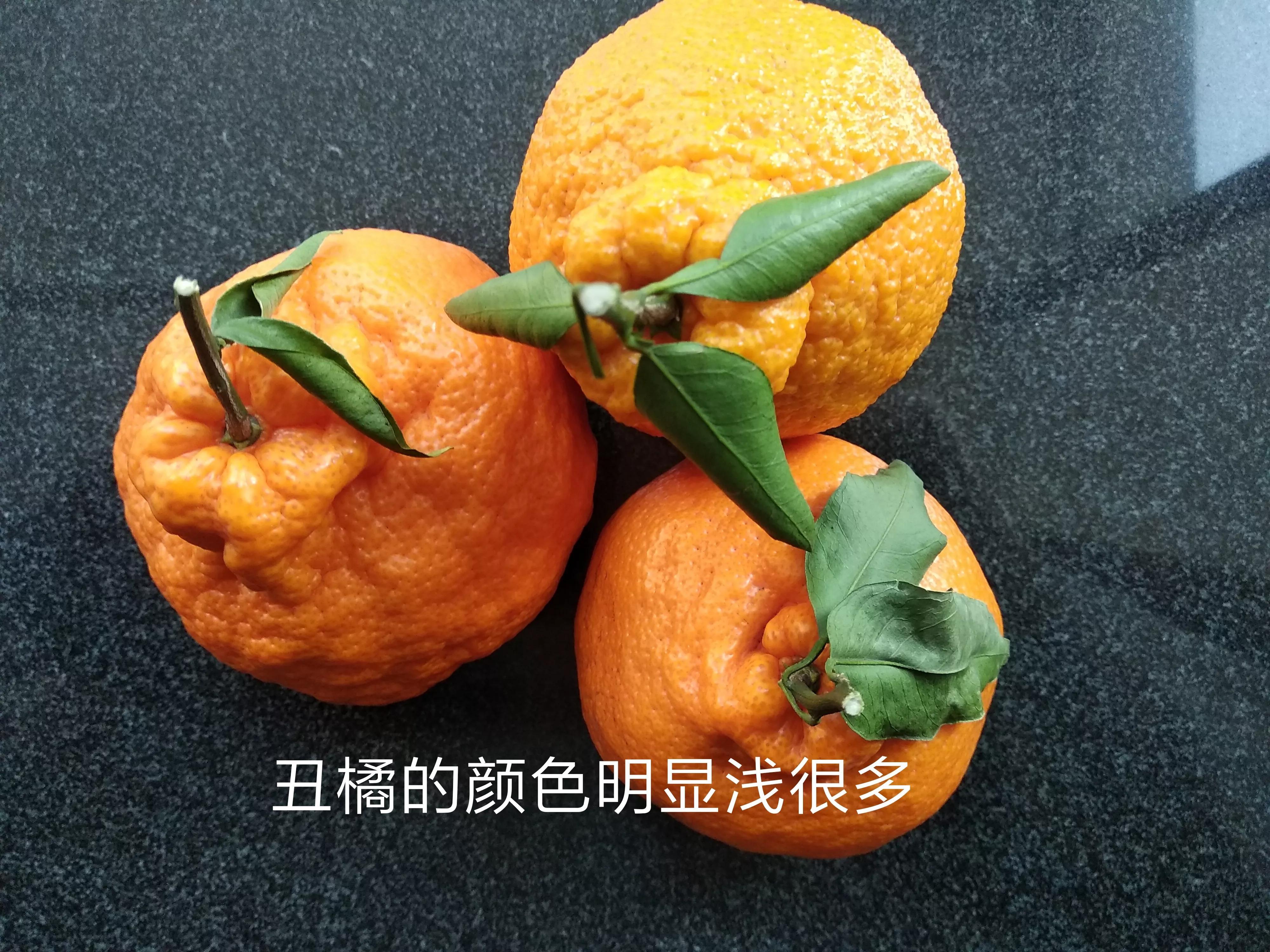 丑橘和粑粑柑有什么区别（详解两种柑橘类水果的差异） 第9张