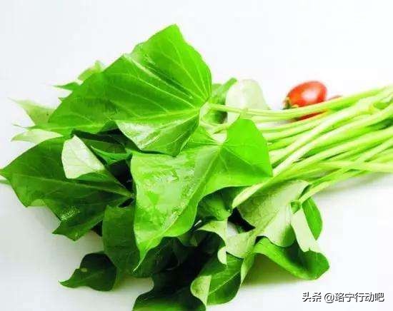 6种高膳食纤维蔬菜，夏天减肥吃，饱腹又通便 第7张