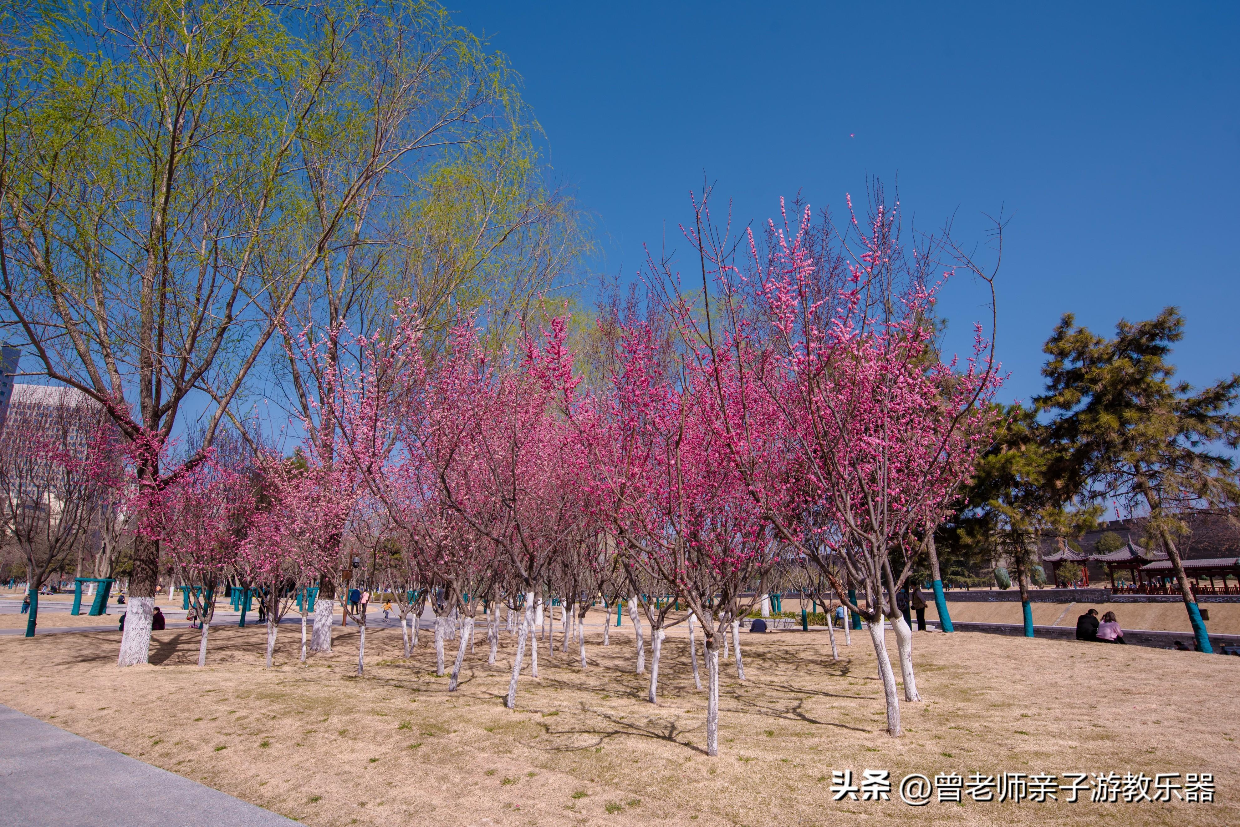 西安旅游必去景点推荐（附：西安旅游首选10大景区） 第51张