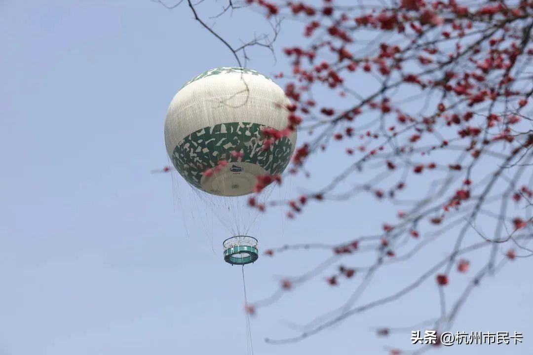 西溪湿地好玩吗（附：西溪湿地游玩攻略） 第19张