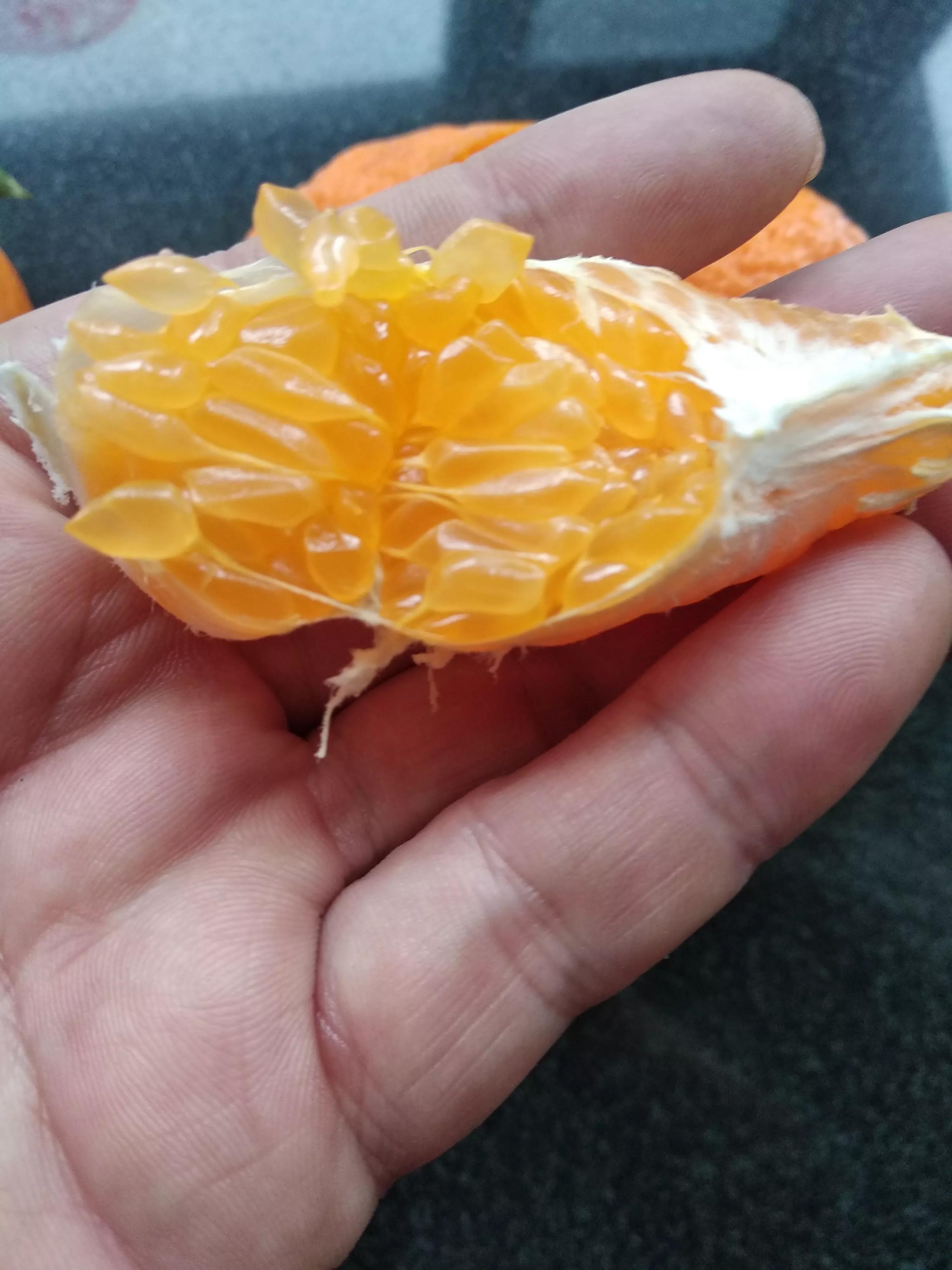 丑橘和粑粑柑有什么区别（详解两种柑橘类水果的差异） 第3张