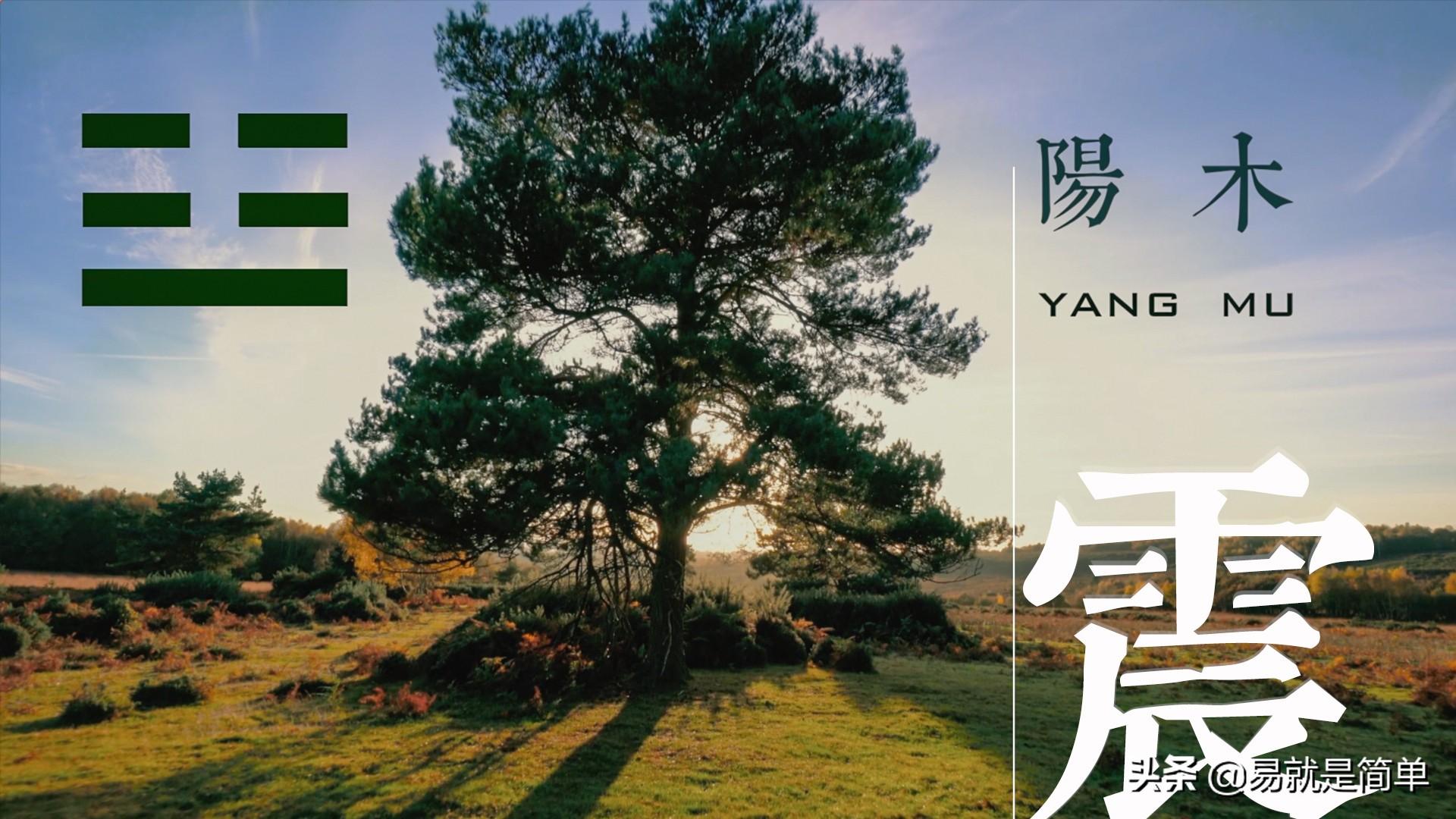 八卦对应的五行属性（五行与易经八卦的对应关系详解） 第7张