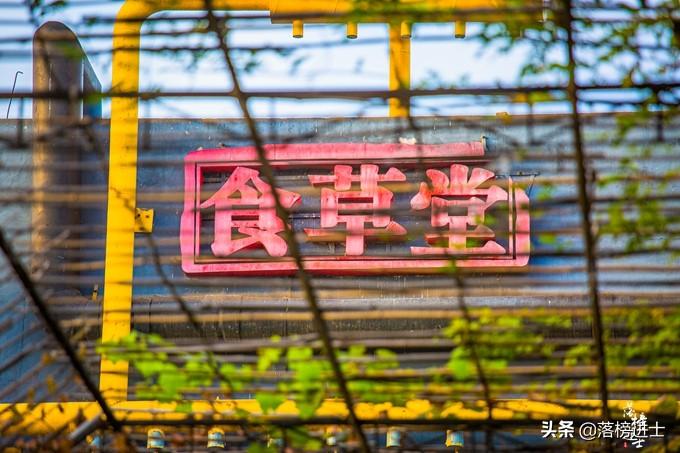 石家庄旅游景点排行榜（石家庄8大免费景点介绍） 第5张