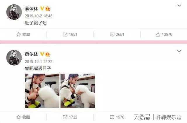 蔡依林为什么被大陆封（具体缘由或和这事有关） 第17张