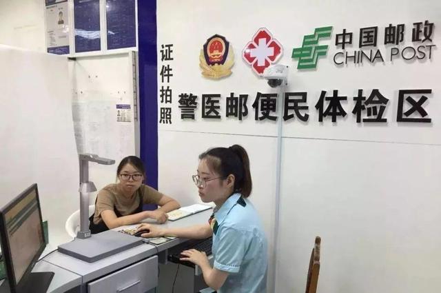 驾照档案编号网上怎么查，怎么看 第11张