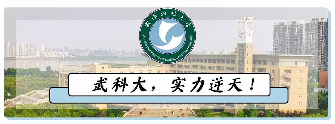 武汉科技大学是211吗还是985（武科大是什么档次） 第3张