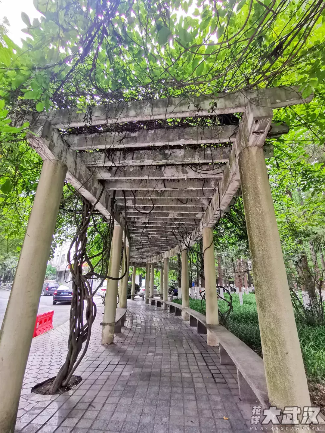武汉科技大学是211吗还是985（武科大是什么档次） 第31张