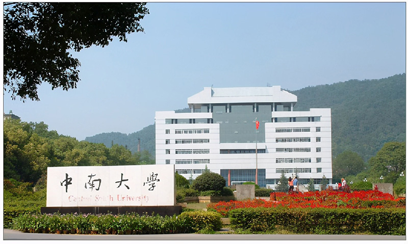 中南大学是985还是211大学（中南全国排名哪个档次） 第15张
