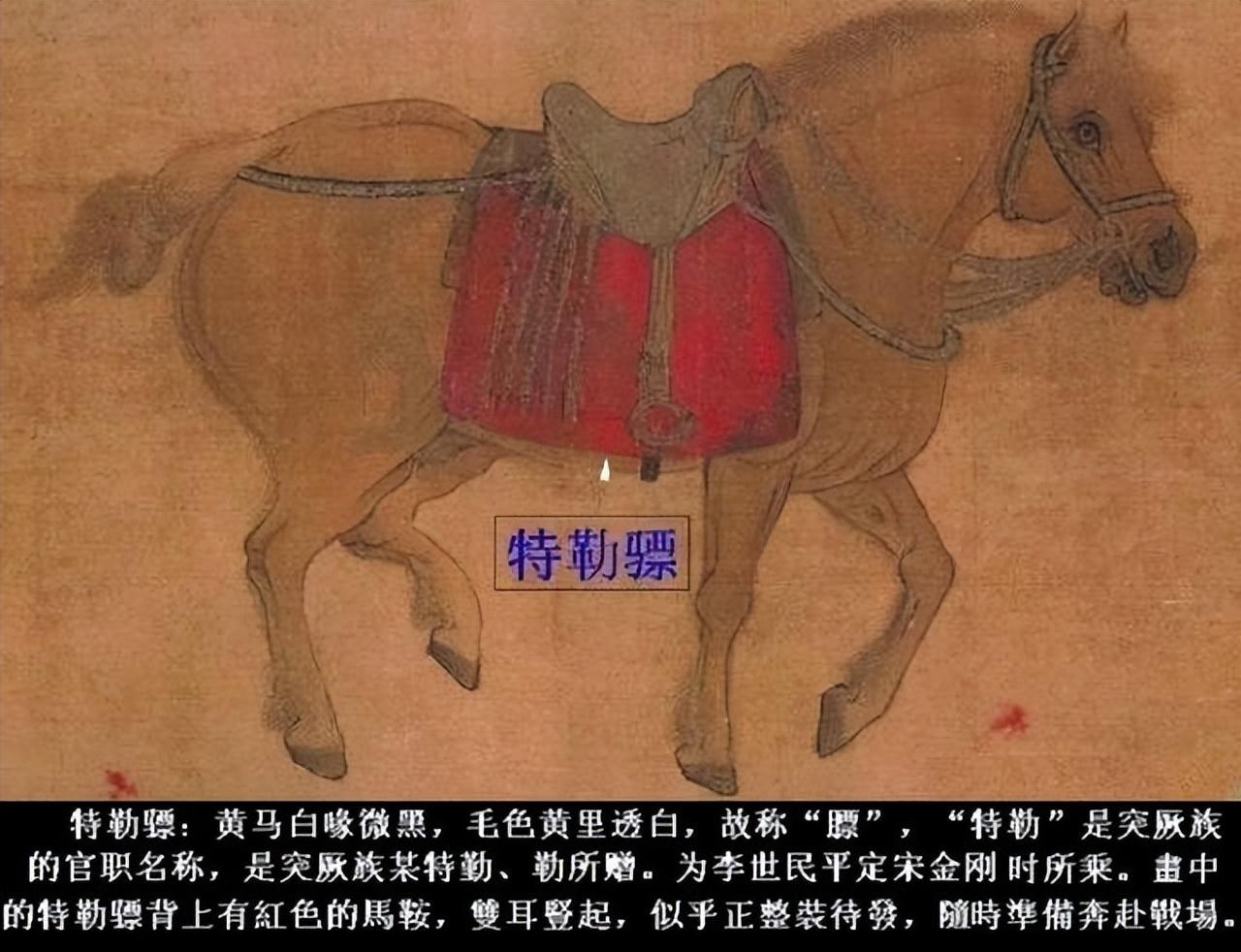 昭陵六骏分别叫什么（昭陵六骏的来历和意义） 第5张