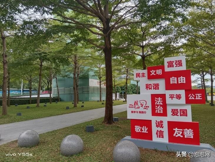 vivoy55s手机质量怎么样（vivo Y55s评测:） 第31张