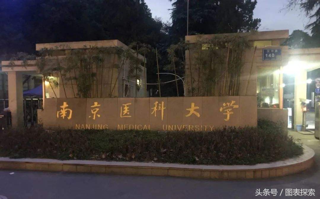 南京医科大学是211还是985（南京医科大学什么档次） 第3张