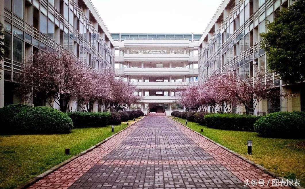 南京医科大学是211还是985（南京医科大学什么档次） 第5张