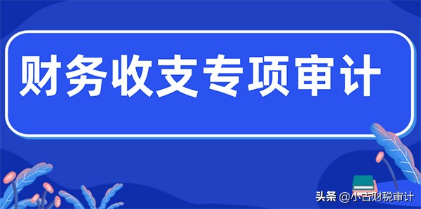 成都公司财务收支专项审计报告 第1张