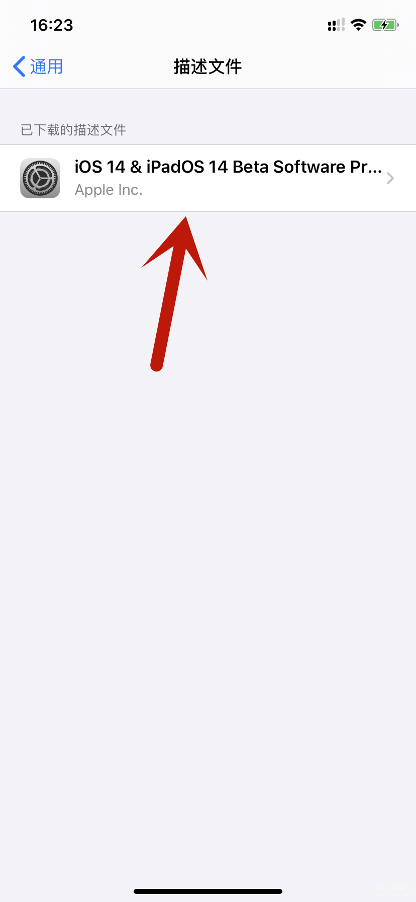 ios14系统安装包下载官网（ios14内测版安装步骤） 第17张
