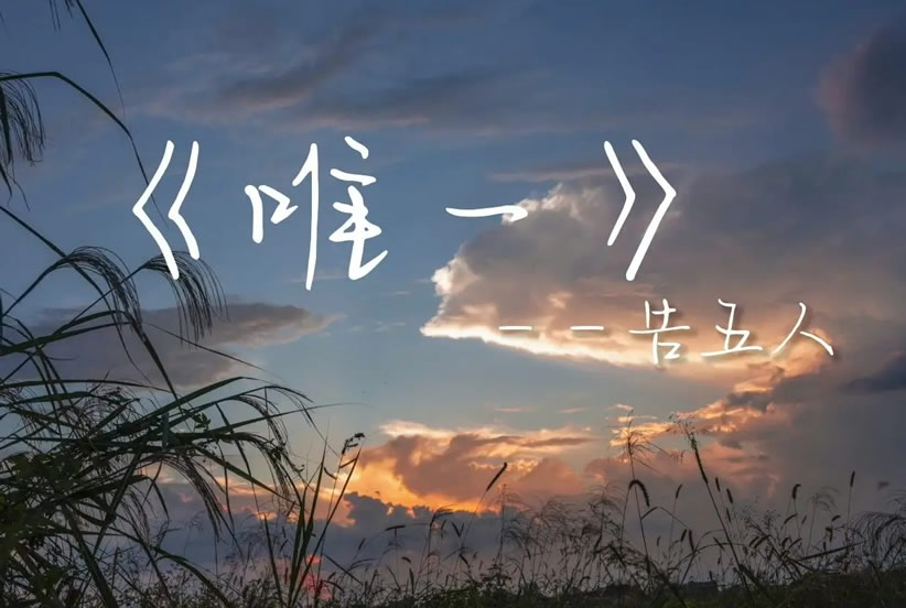 最新最热门网络歌曲排名 2022年一夜爆红15首歌曲 第19张