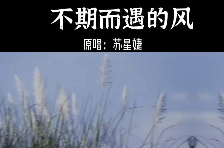 最新最热门网络歌曲排名 2022年一夜爆红15首歌曲 第25张