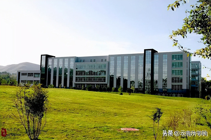 青海大学是985还是211（青海大学是双一流大学吗） 第7张