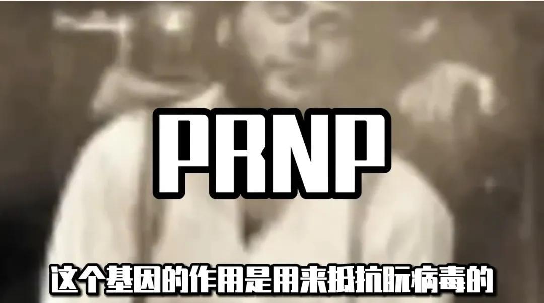朊病毒是怎么产生的（朊病毒诞生背后的恐怖真相） 第5张
